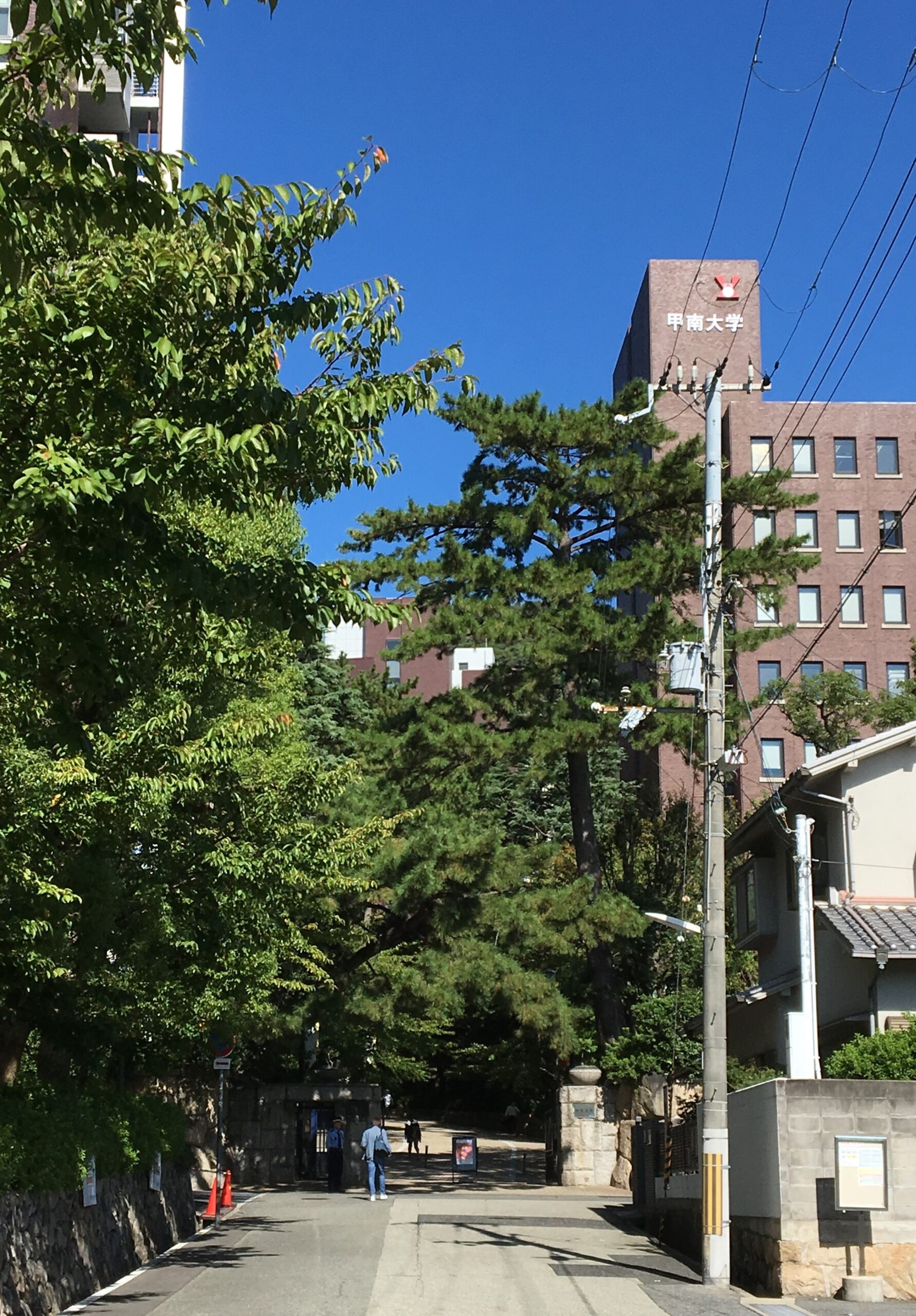 甲南大学法学部・講師就任